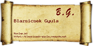 Blazsicsek Gyula névjegykártya